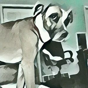 Meet your Posher, Adrienne